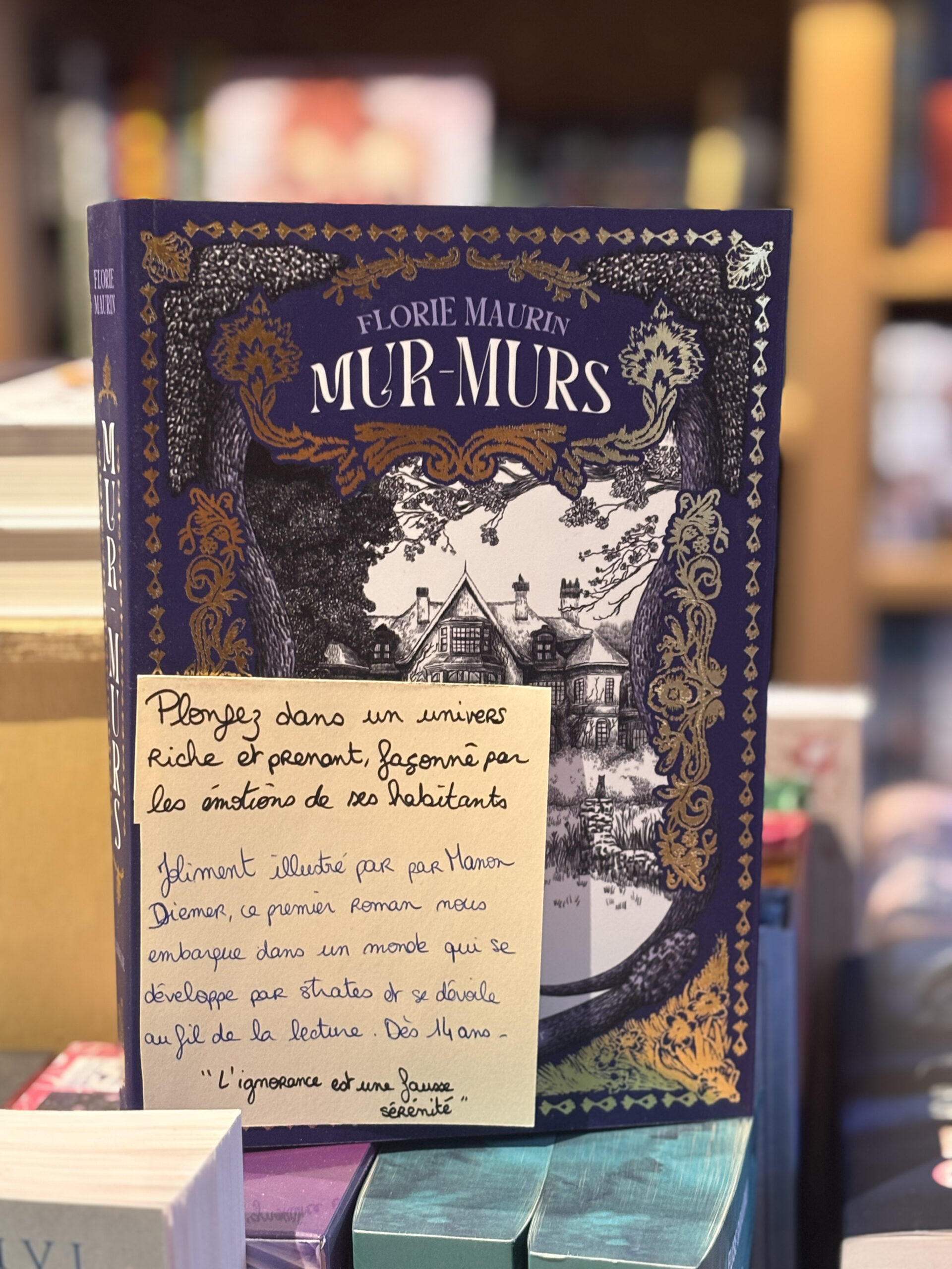 Photographie du livre dans la librairie Mille Feuilles